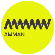 pt amman mineral